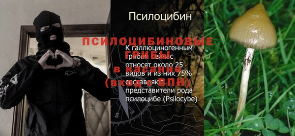 стафф Аркадак