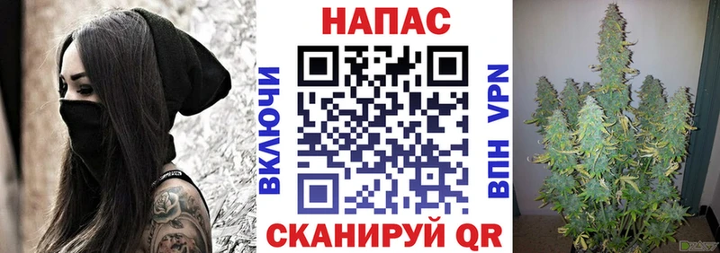 Бошки Шишки конопля где купить наркоту Туринск